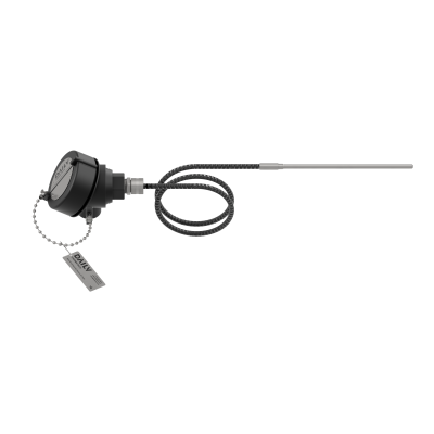 Model 360 Industrial Sensor Assembly With Remote Head