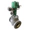 Fisher® EW Series Control Valve