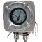 Piston DP Gauges-Liquid